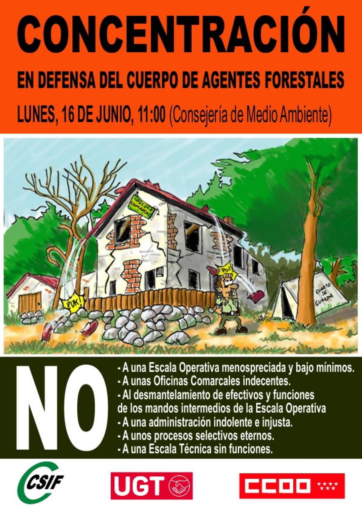 Concentracin forestales 16 de junio