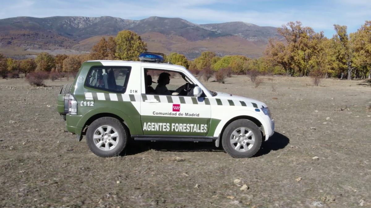 Agentes Forestales Comunidad de Madrid